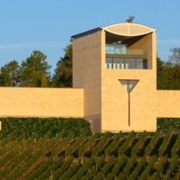 Partner The beauty of contemplation, the pleasure of tasting photo